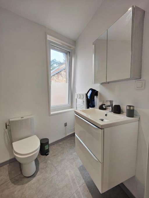 La Feline - Duplex - Vieux Valenciennes - Familial Apartment Luaran gambar